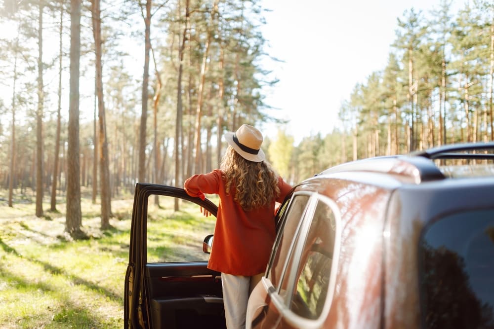 Auto abmelden 2025: Online, vor Ort oder per Service — was lohnt sich?